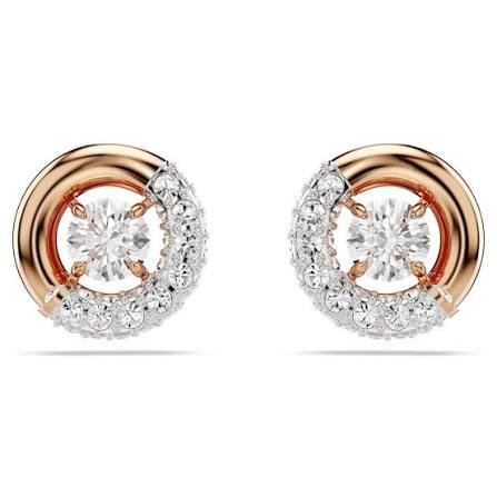 Dextera stud earrings round white rose
