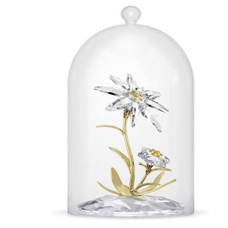Flore re bell jar anniversary
