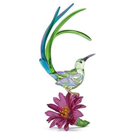 Idyllia sugar bird flower