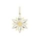 Swa Christmas golden star