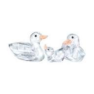 Peaceful counstryside Ducks