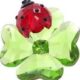 Idyllia lady bug